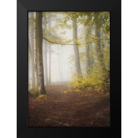 Lets Go for a Walk Black Modern Wood Framed Art Print by Maier, Norbert