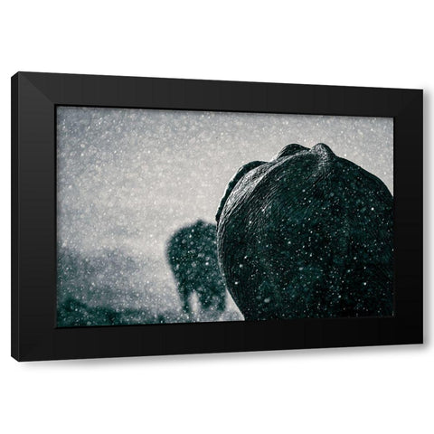 Rainy Season Black Modern Wood Framed Art Print by Taylor, Mike