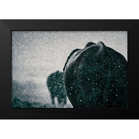 Rainy Season Black Modern Wood Framed Art Print by Taylor, Mike
