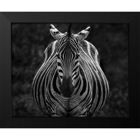 Stare Black Modern Wood Framed Art Print by Chen, Jiong