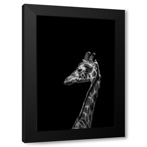 Im not Happy Black Modern Wood Framed Art Print with Double Matting by Ma, Frank