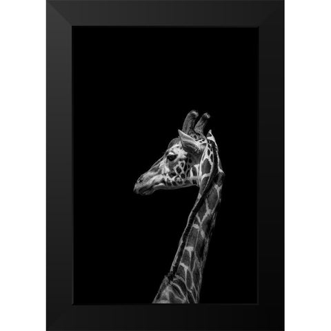 Im not Happy Black Modern Wood Framed Art Print by Ma, Frank