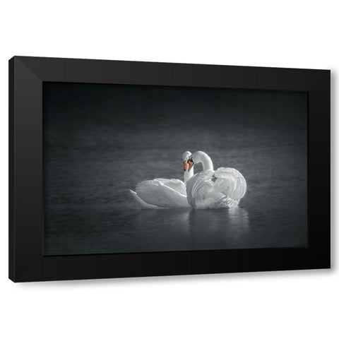 Public Display of Affection Black Modern Wood Framed Art Print with Double Matting by Hu, Mei
