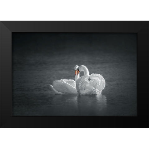 Public Display of Affection Black Modern Wood Framed Art Print by Hu, Mei
