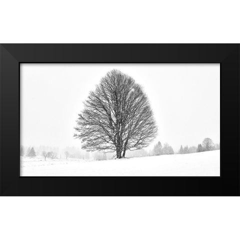 Lonely Tree II Black Modern Wood Framed Art Print by Froyda, Martin