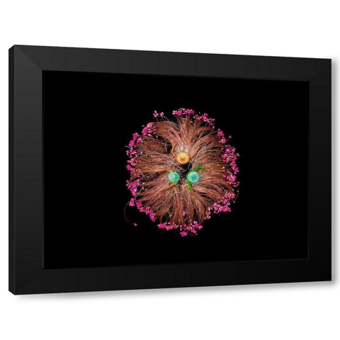 Colors of Life Black Modern Wood Framed Art Print by Adikary, Sujon