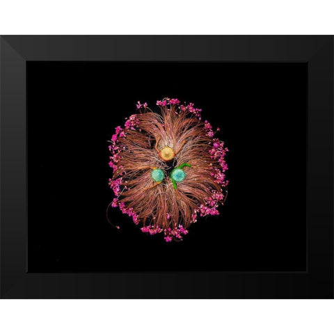 Colors of Life Black Modern Wood Framed Art Print by Adikary, Sujon
