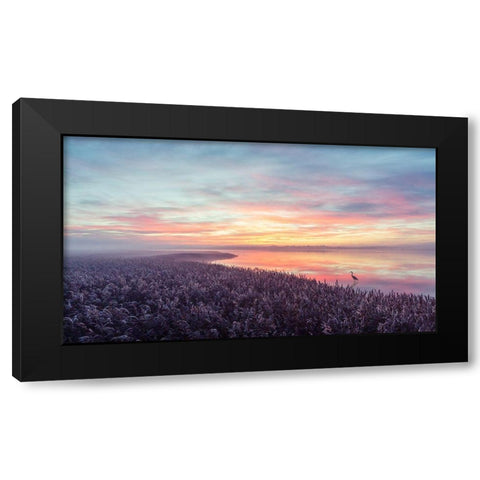 The Herons Morning View Black Modern Wood Framed Art Print with Double Matting by Londal, Leif