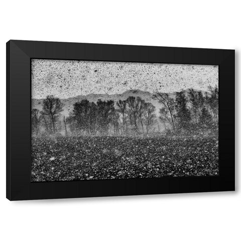 Snow Storm Black Modern Wood Framed Art Print by Klabus, Ales