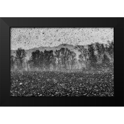 Snow Storm Black Modern Wood Framed Art Print by Klabus, Ales
