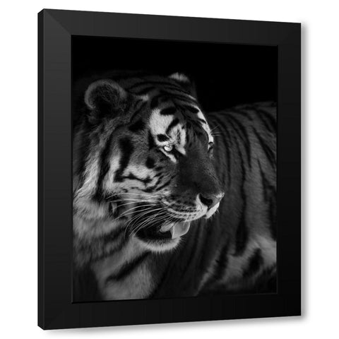 The King Black Modern Wood Framed Art Print by Zhao, Alex