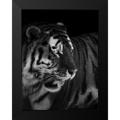 The King Black Modern Wood Framed Art Print by Zhao, Alex