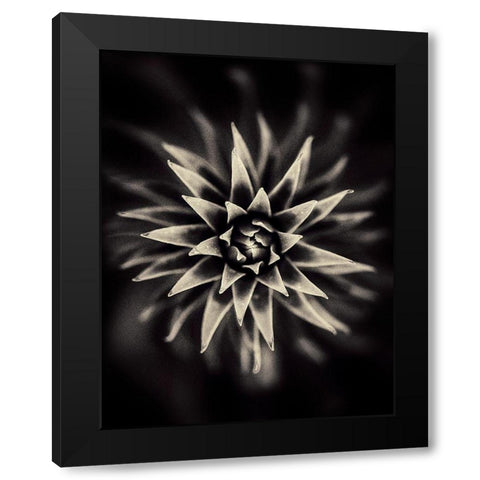 Star Black Modern Wood Framed Art Print by Salem, Saad