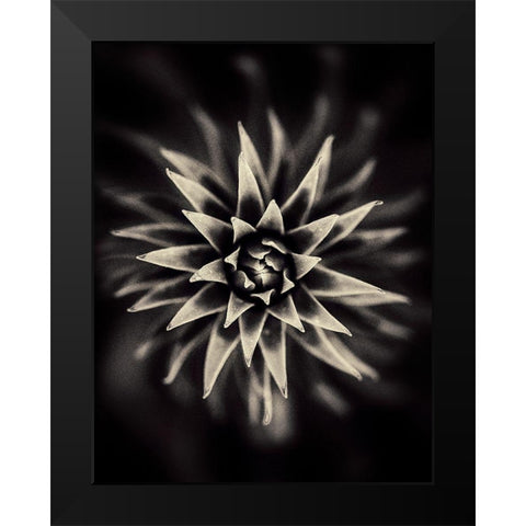 Star Black Modern Wood Framed Art Print by Salem, Saad