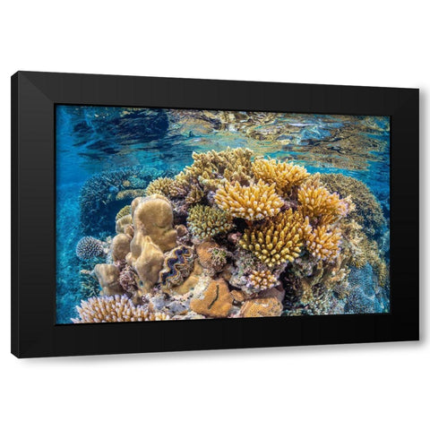 Reef of Mayotte Black Modern Wood Framed Art Print by Gabriel, Barathieu