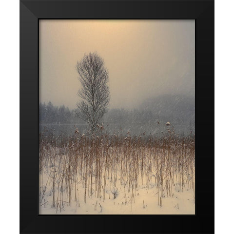 Lonely Tree Black Modern Wood Framed Art Print by Gialopoulos, Anastasios