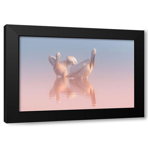 Two Pelicans Black Modern Wood Framed Art Print with Double Matting by Rublina, Natalia