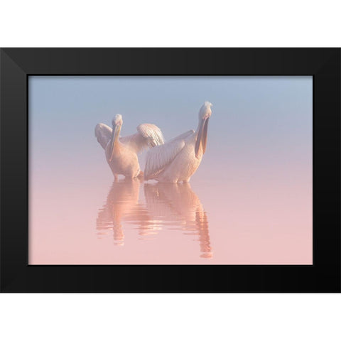 Two Pelicans Black Modern Wood Framed Art Print by Rublina, Natalia