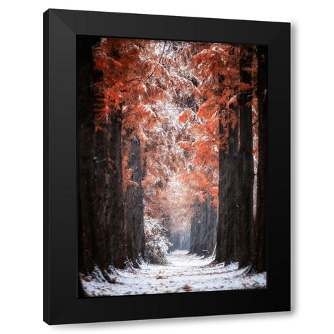 Snowy Day Black Modern Wood Framed Art Print with Double Matting by Seo, Tiger