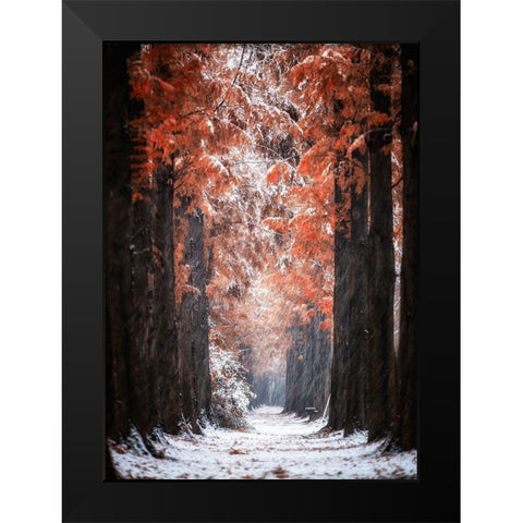 Snowy Day Black Modern Wood Framed Art Print by Seo, Tiger