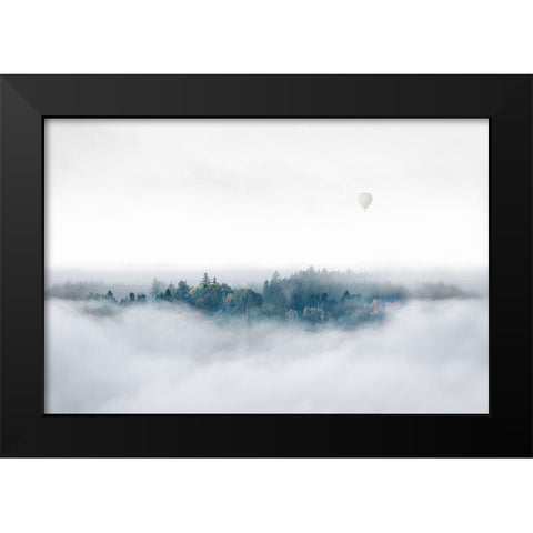 Misty Morning Surprise Black Modern Wood Framed Art Print by Bergolth, Matthias