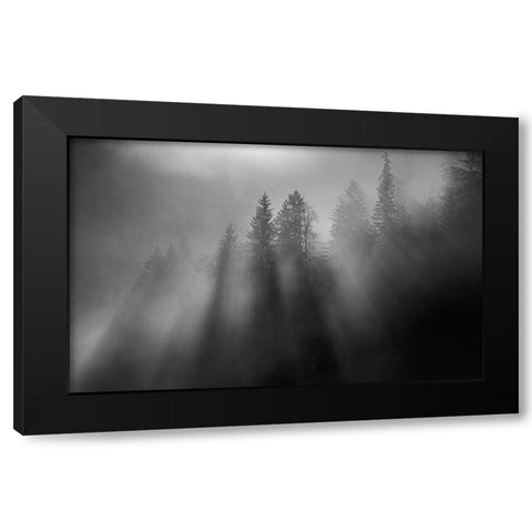 Wintersun Black Modern Wood Framed Art Print by Dauer, Andy
