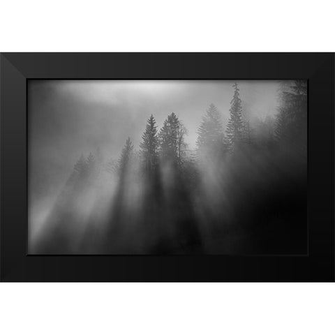 Wintersun Black Modern Wood Framed Art Print by Dauer, Andy
