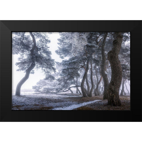 Hoarfrost on the Tree Black Modern Wood Framed Art Print by Seo, Tiger
