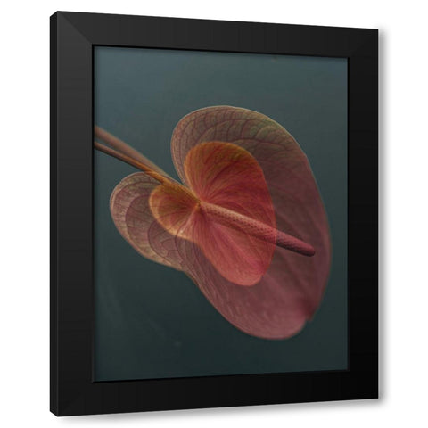 Heart 2 Black Modern Wood Framed Art Print by Basso, Donatella