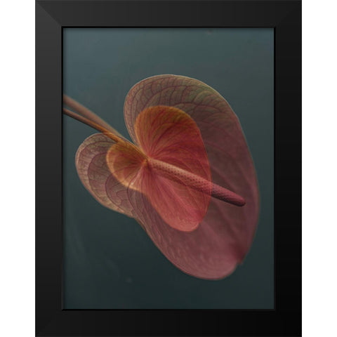 Heart 2 Black Modern Wood Framed Art Print by Basso, Donatella