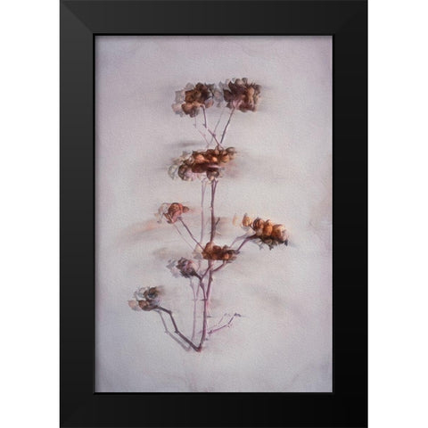 The Decay Black Modern Wood Framed Art Print by Kiral, Cicek