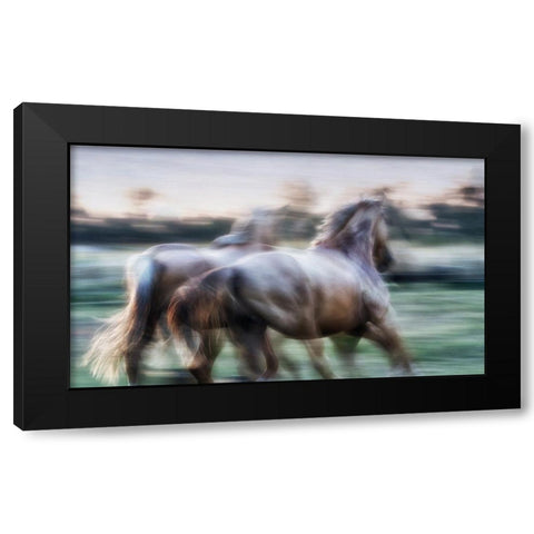 Born Free to Follow your Heart Black Modern Wood Framed Art Print with Double Matting by Gerber, Charlaine