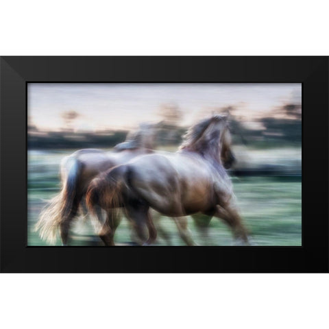 Born Free to Follow your Heart Black Modern Wood Framed Art Print by Gerber, Charlaine