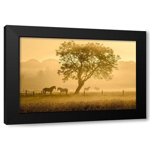 Golden Horses Black Modern Wood Framed Art Print with Double Matting by Guijt, Richard