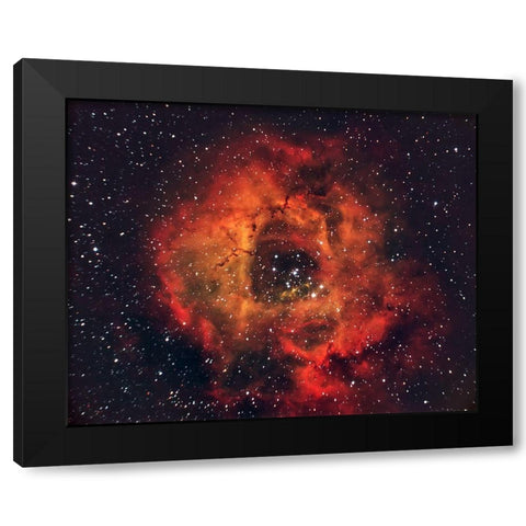 The Rose in the Sky Black Modern Wood Framed Art Print with Double Matting by Auf dem, Andrea