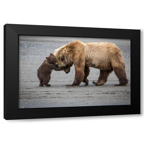 A Little Bear Hug Black Modern Wood Framed Art Print by Doyle, Renee
