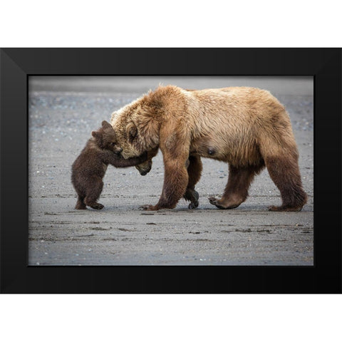A Little Bear Hug Black Modern Wood Framed Art Print by Doyle, Renee