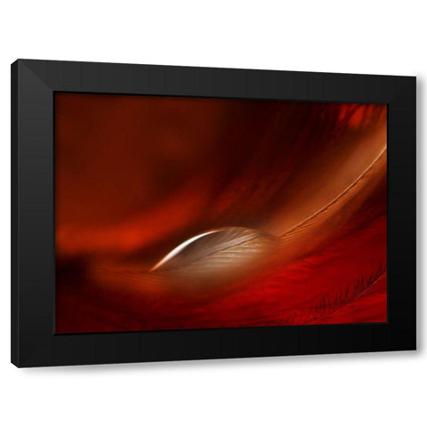 Drop Black Modern Wood Framed Art Print with Double Matting by Kerber, Jutta