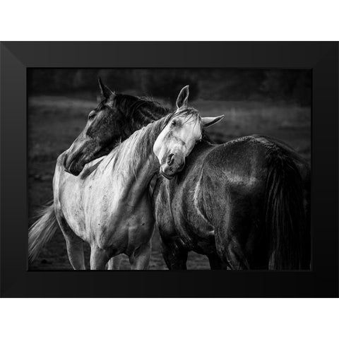 Warm Rain Black Modern Wood Framed Art Print by Chapa, Niko