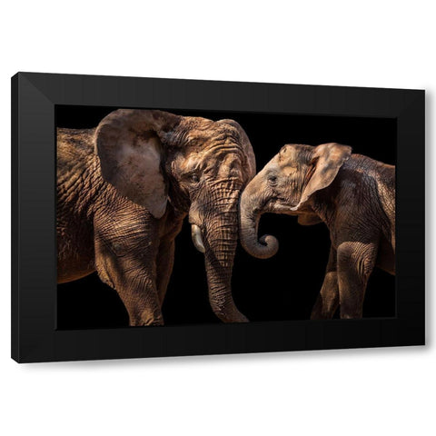 Elephants Black Modern Wood Framed Art Print by Martins, Vitor