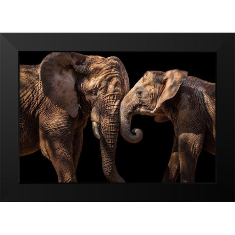 Elephants Black Modern Wood Framed Art Print by Martins, Vitor