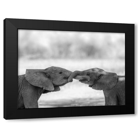 Greetings Black Modern Wood Framed Art Print with Double Matting by Marx, Jaco