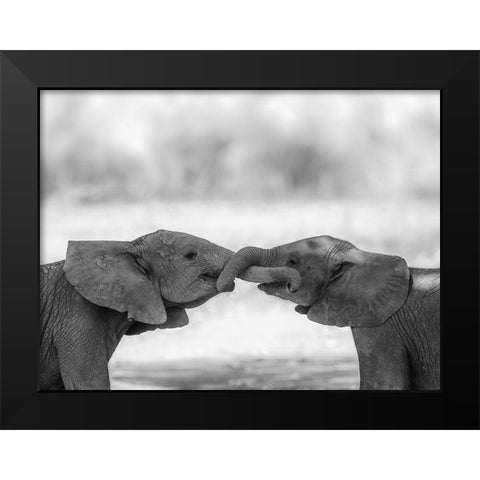 Greetings Black Modern Wood Framed Art Print by Marx, Jaco