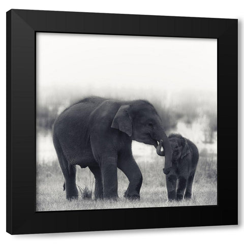 Siblings Black Modern Wood Framed Art Print with Double Matting by Swapnil