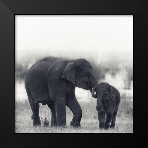 Siblings Black Modern Wood Framed Art Print by Swapnil