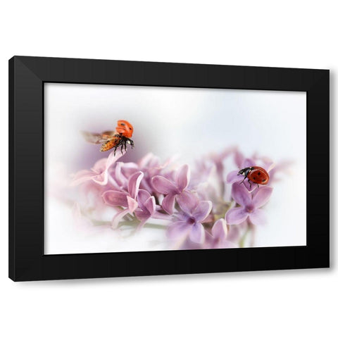 Almost Summer Black Modern Wood Framed Art Print with Double Matting by Deelen, Ellen van