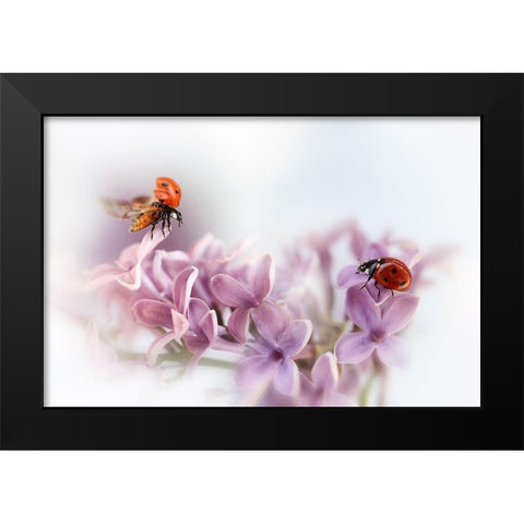 Almost Summer Black Modern Wood Framed Art Print by Deelen, Ellen van