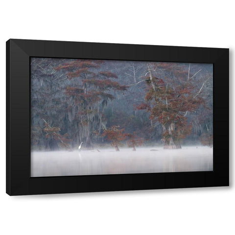 Egrette Black Modern Wood Framed Art Print by Marchegiani, Roberto