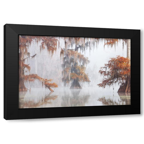 Mysty Bayou Black Modern Wood Framed Art Print with Double Matting by Marchegiani, Roberto