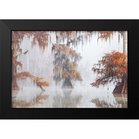 Mysty Bayou Black Modern Wood Framed Art Print by Marchegiani, Roberto